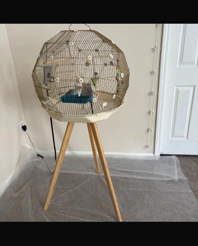 Geo omelet orb round - , bird