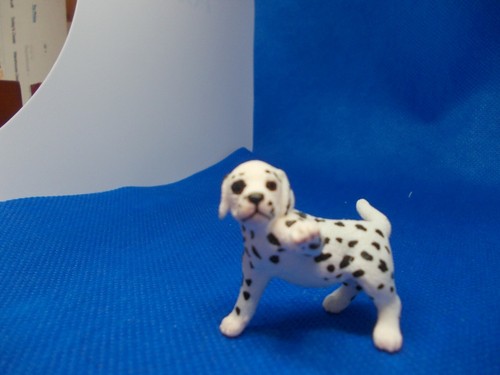 Lovely dalmatian pup - pup, a