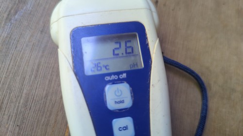 Bluelab pen digital ph - pen,