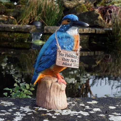 Kayleigh the kingfisher cm - kayleigh,