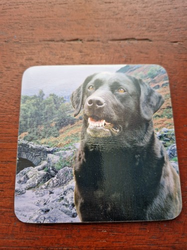 Black labrador coaster - black,