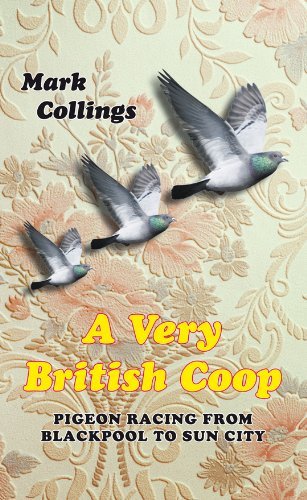 Very british coop - coop:, pigeon