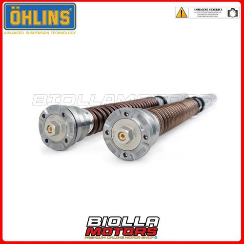 Fgk 251 fork cartridge - fgk-ag,