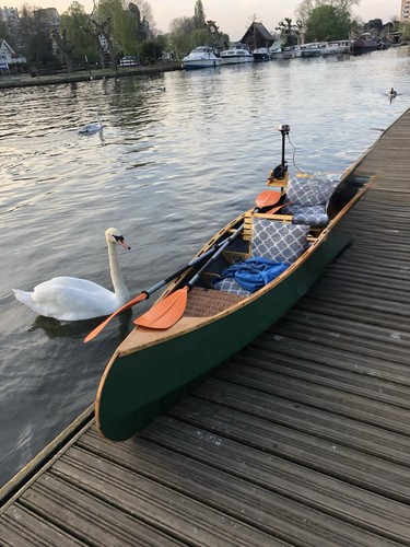 Canadian canoe hand built - ,