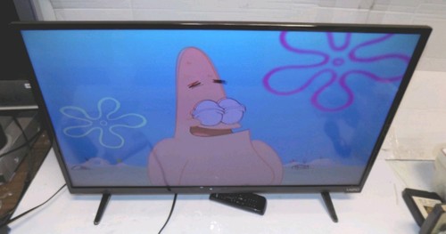 Vizio d32hn inch hd - vizio,