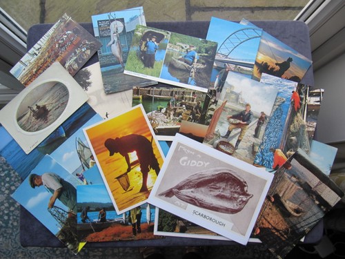Postcards fish cod - postcards,