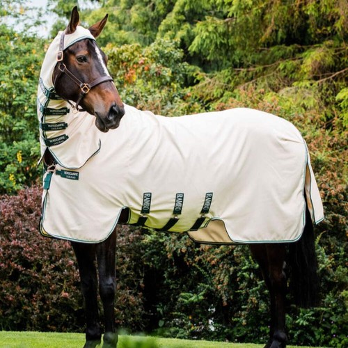 Rambo hoody with fly - hoody,