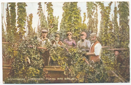 Hop picking londoners - londoners,