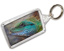 Lizard Keyring Photo Keychain