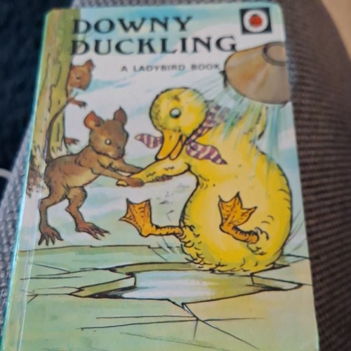Downy duckling ladybird series - downy,