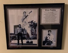 Elvis Presley The King Of Rock