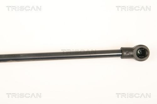 Fits triscan 8710 25245 - triscan, gas