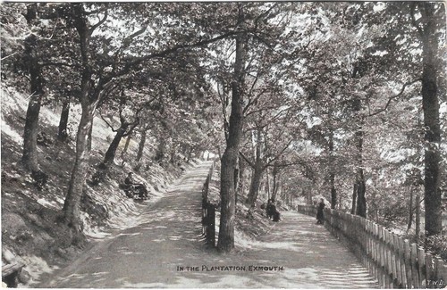 Exmouth plantation postcard - exmouth,
