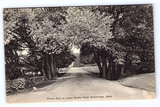 Willow Arch on Lenox Middle