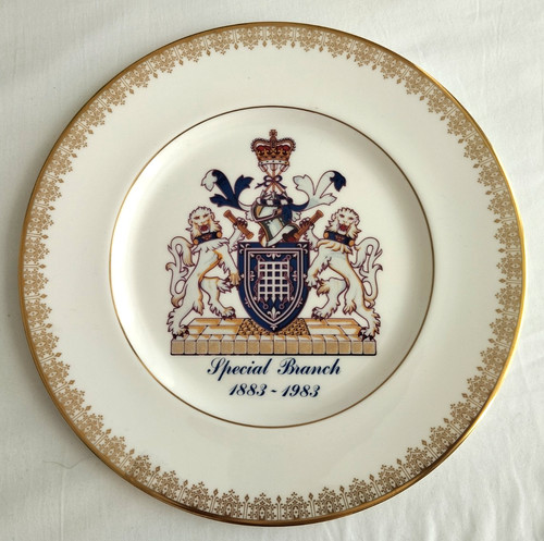 Metropolitan police special - police,