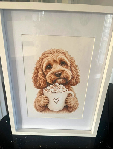 Cockapoo print dog holding - print,