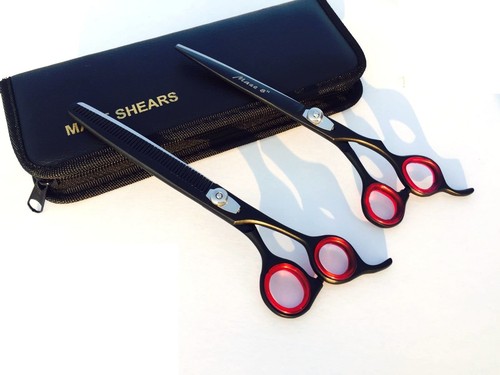 Professional pet grooming - pet,