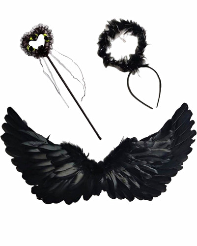 New black feather - new,