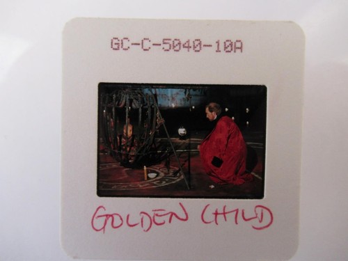 The golden child - golden,