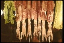 120043 Dried Squid At A Food Stall Poor Mans Nightclub A4 Photo Print