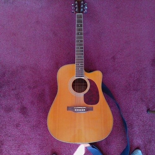 Hofner has do1 - hofner, has-do1-ce
