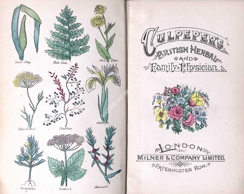 Culpeper british herbal - herbal, and