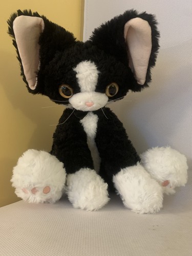 Devon rex cat kitten black - devon,