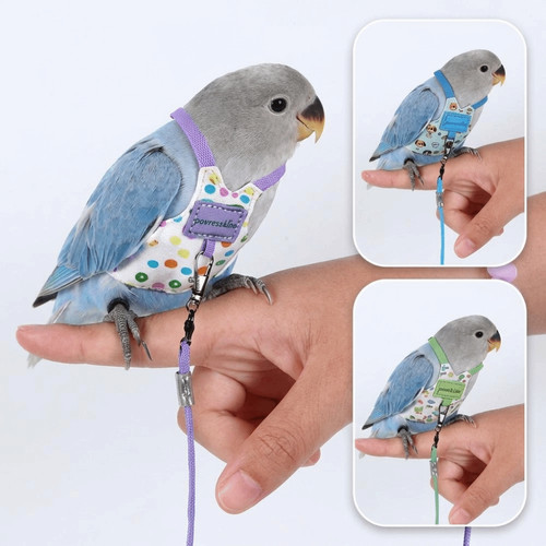 Breathable parrot flying - parrot,