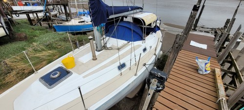 Colvic countess - colvic,