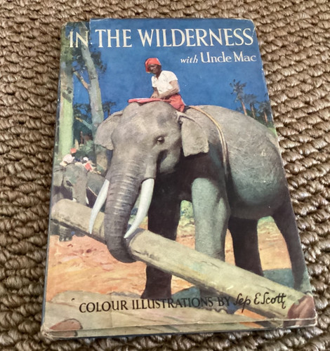Ladybird book in the - in,