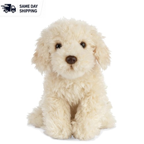Fluffy inch labradoodle - fluffy,