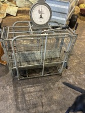 Sheep Lamb Pig Weigh Scales
