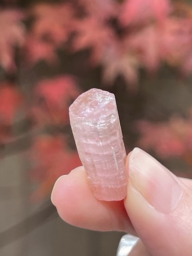 Pink tourmaline rod rubellite - tourmaline,
