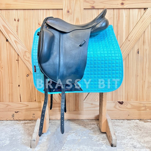 Albion adjusta ultima - adjusta,