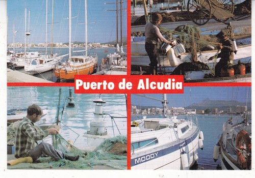 Puerto alcudia mallorca spain - puerto,