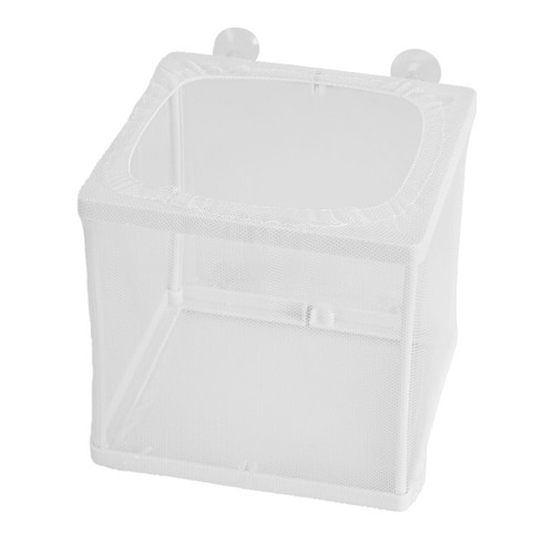 Aquarium fish tank guppy - aquarium,