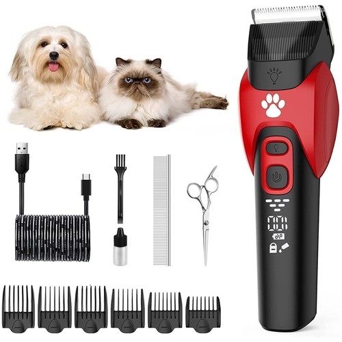 Professional pet dog grooming - dog,