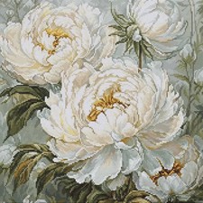 Petit Point Kit Luca-S GOLD -