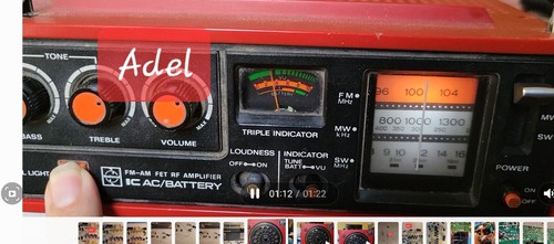 Panasonic 888 gx300 - rf-888,