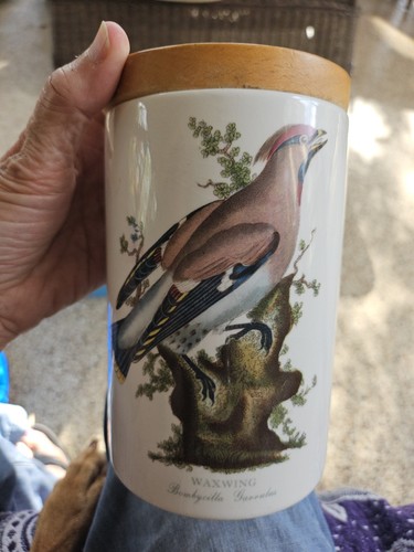 Vintage portmeirion birds - vintage, of