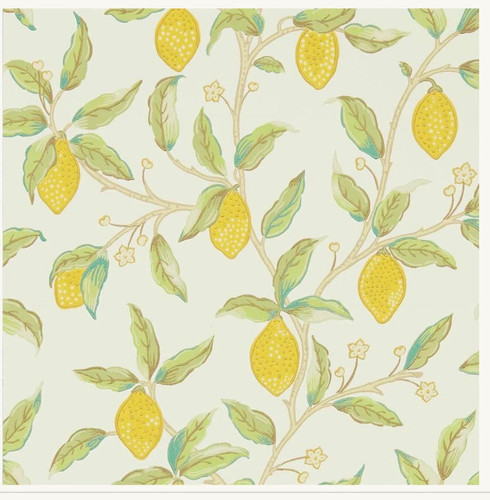 Morris lemon tree bay - &, /