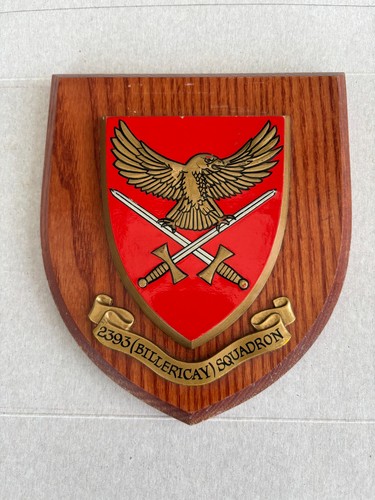 Atc 2393 billericay squadron - 2393,