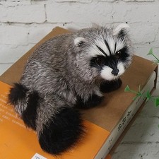Realistic Simulation Raccoon