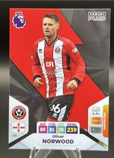 Cards # 244-396 Panini Plus