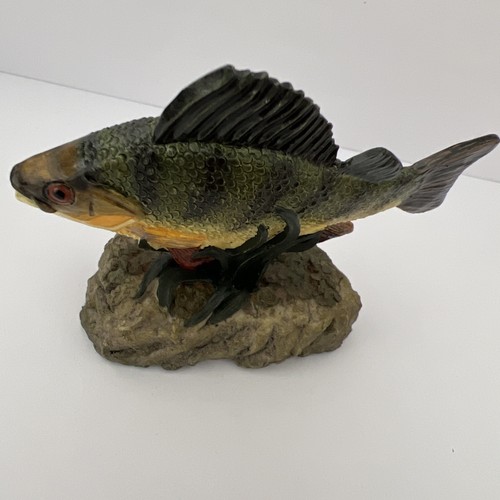 The anglers showcase danbury - anglers,