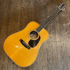 Gold Hawk GW-25 Acoustic
