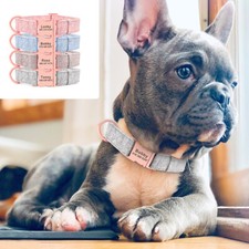 Nylon Dog Collar Personalised Name ID Engrave Adjustable French Bulldog Pug Pink