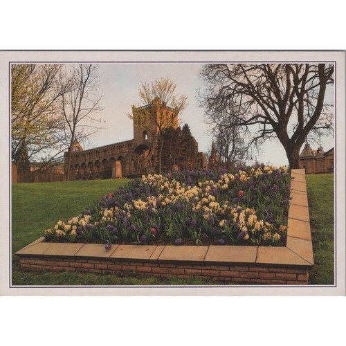 Postcard jedburgh abbey - postcard,