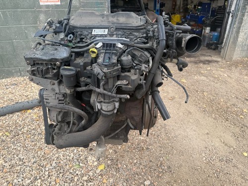 Ford mondeo cmax - ford, kuga