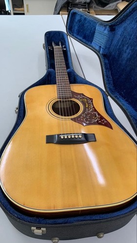 Gibson style acoustic guitar - gibson,